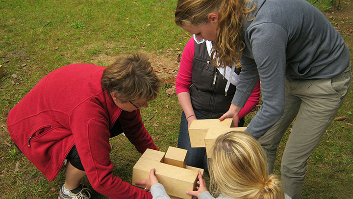 Teambuilding samenwerken